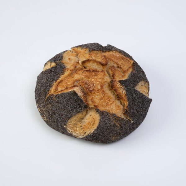 Plain Sourdough Loaf with Poppy seeds